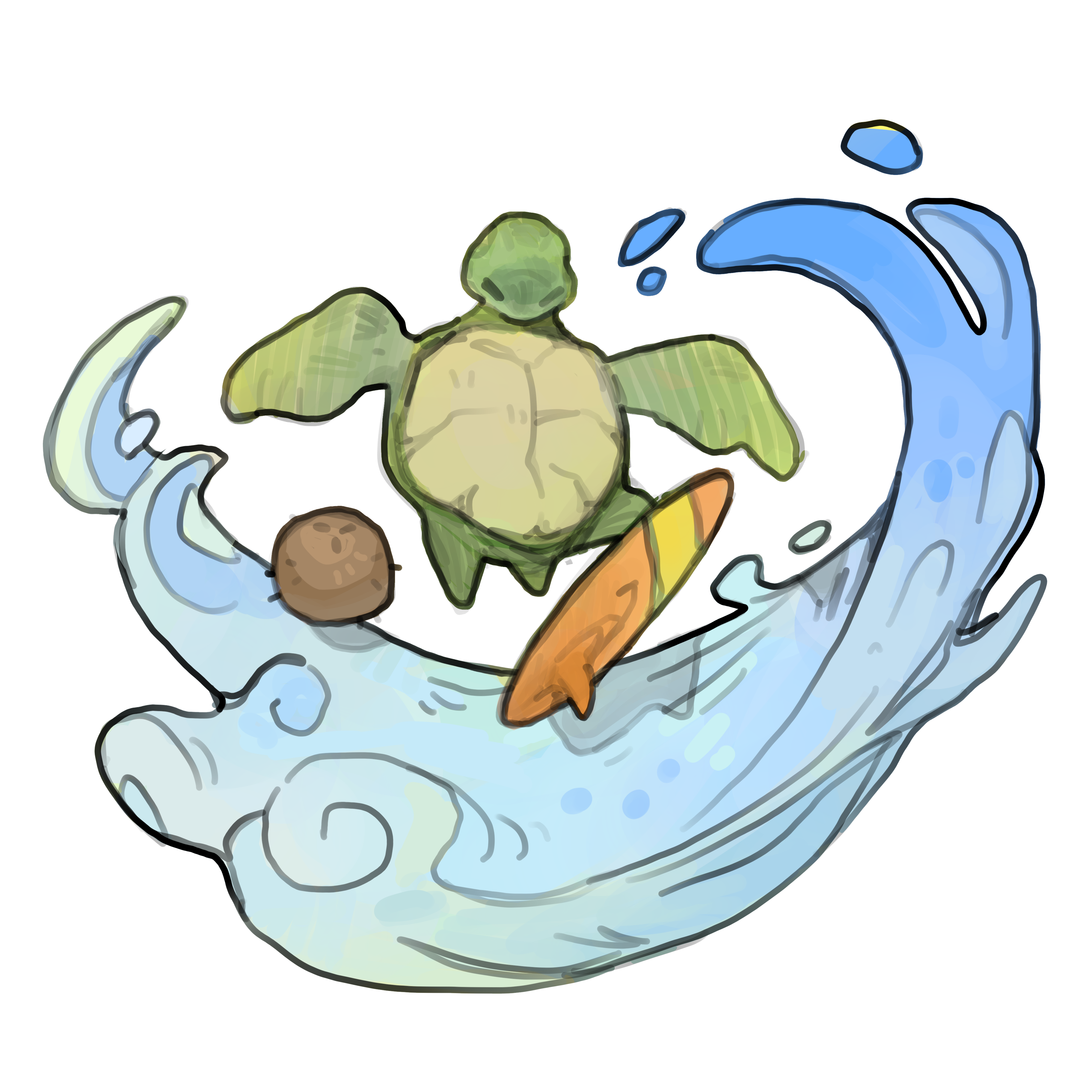 turtle surf.PNG
